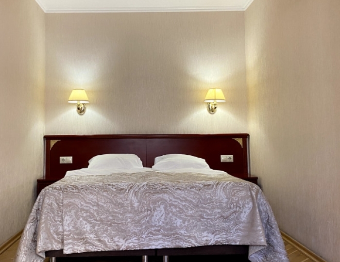 Делюкс - Санаторий «Целебный Нарзан» Кисловодск