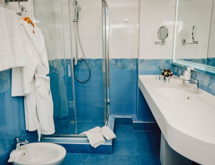 Королевский люкс - Санаторий «Целебный Нарзан» Кисловодск