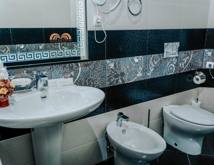 Серебряный люкс - Санаторий «Целебный Нарзан» Кисловодск