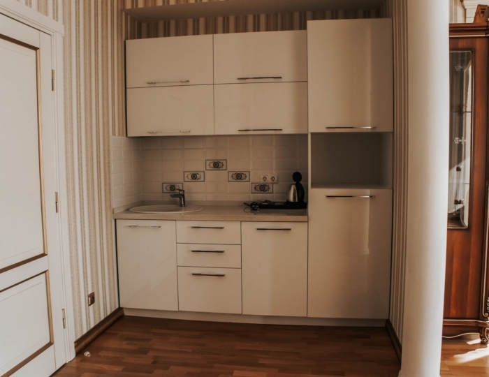 Синдика люкс - Санаторий «Целебный Нарзан» Кисловодск