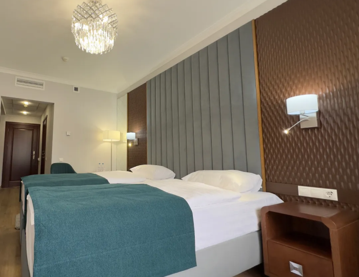 Стандарт бизнес - Санаторий «Целебный Нарзан» Кисловодск