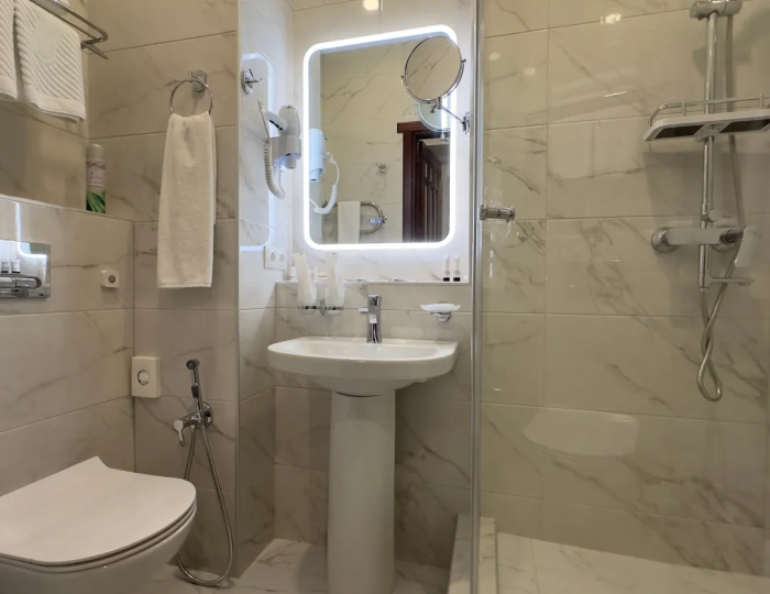 Стандарт бизнес - Санаторий «Целебный Нарзан» Кисловодск