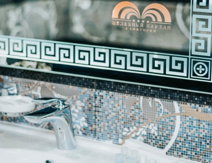 Студия люкс - Санаторий «Целебный Нарзан» Кисловодск